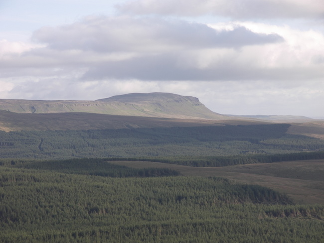 A distant Pen y ghent from the Cam High Road