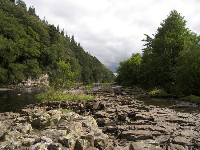 On the River Tees