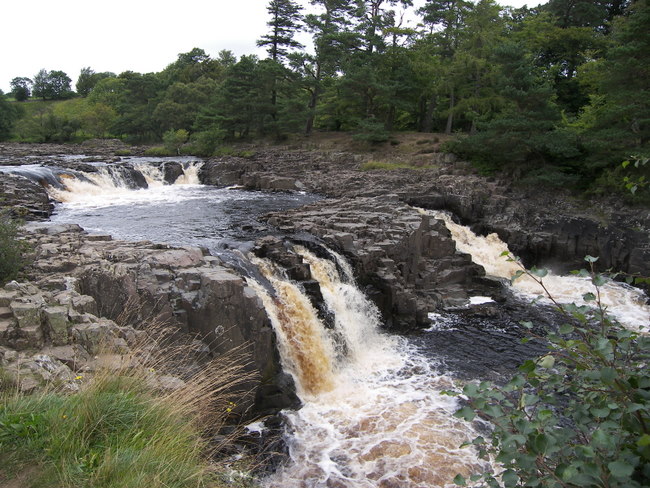 Low Force