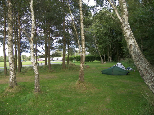 Best campsite so far at Bellingham (pronounced Bellin-Jum)